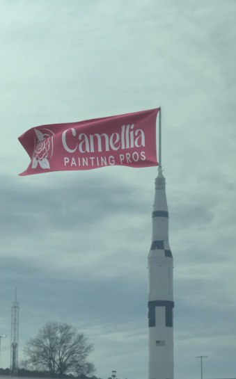 Beautifully painted residential interior